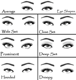 wide set eyes vs close set eyes